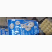 Gerber Arrowroot Biscuit