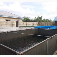 Fish Pond Tarpaulin