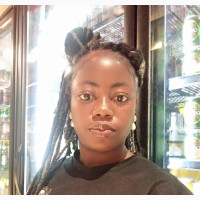 Offline Customer Acquisition Executive (Lagos
