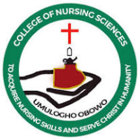 School of Nursing, Our Lady of Mercy Hospital, Umulogho, Obowo 2025/2026 Admission form