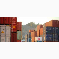 Professional Clearing Agent, Freight Services