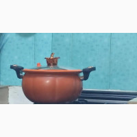 Totipotent Pressure Cooking Pot - 28cm
