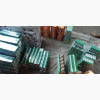 12v 24v Headl Bulbs