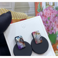 Fashion Earring