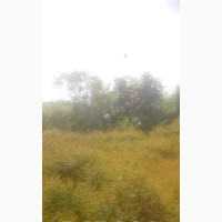 20 Plots of Land in a Fast Developing Area