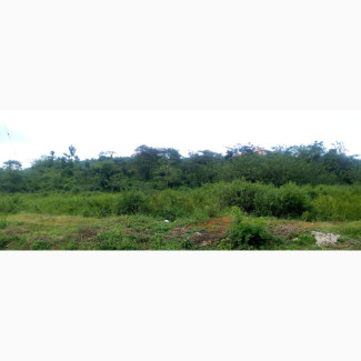 Land 41⁄2 Plots at New GRA Osogbo for Sale