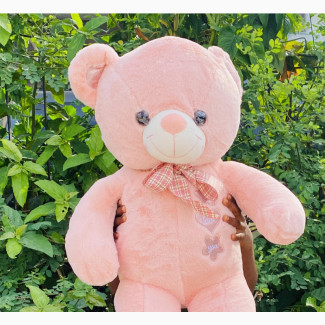 Pink T Love U Teddy Bear