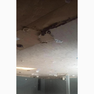 160sqms Office Space for Rent in Blenco