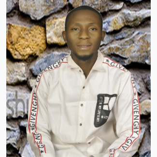 Mr Usman Hamisu