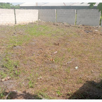 Half Plot for Sale