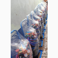 Complete Set Of Oxygen And Acetylene Bottle