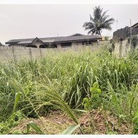 Empty Space/Land Off Ikotun Igando Road