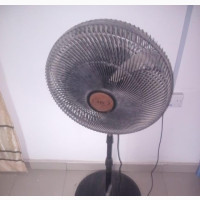 Standing Fan