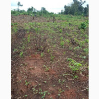 Estate Land for Sale Behind Bingham University Kuchikau