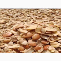 Ogbono (Irvingia Gabonensis) Whole 80gr