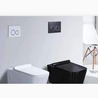 Conduit Wc, Wall Hung