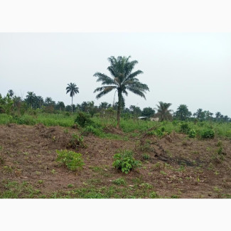 Deed of Conveyance Land for Sale