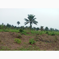 Deed of Conveyance Land for Sale