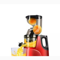 Slow Juicer - Enjoy Fresh Fruit Juice