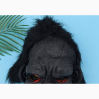 Halloween Party Cosplay Costume