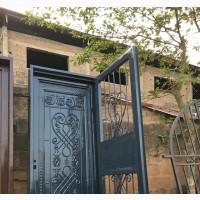 Security Door With Front Protector