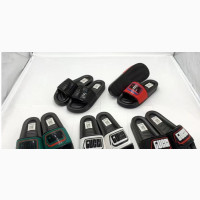 New Arrival Stock Palm