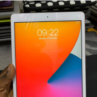 Apple iPad 10.2 (2020) Wi-Fi 32 GB Pink