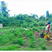 Cheap Acres of Land at Alabata Odeda LGA Close to FUNAAB