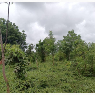 400 Acres of Land for Sale in Osogbo Suitable for Estate