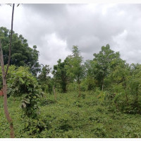 400 Acres of Land for Sale in Osogbo Suitable for Estate