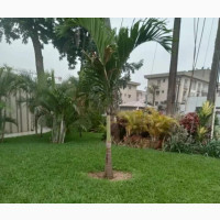 Landscape Design - Transform Your Space