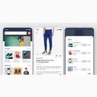 Website and Mobile App With Flutter Template