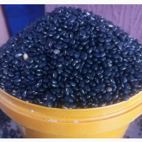 Black Akidi Nigerian Cowpea Beans, Baki Wake Per Derica Cup