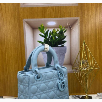 Luxury Christian Dior Women#039;s Handbag - Brand New