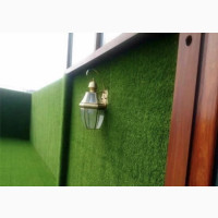 Best Carpet Grass for Garden and More