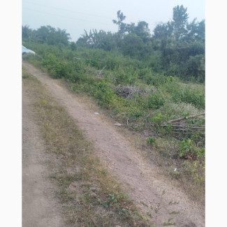 Farmland for Sale in Osuntedo - 100 Acres