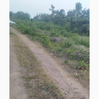 Farmland for Sale in Osuntedo - 100 Acres