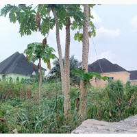 2 Plots at Shell Co Operatives Estate, High Class Estate