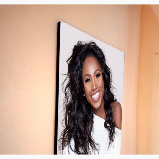 HD Canvas Acrylic Frameless Wall Framed