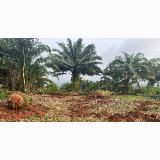 Land for Sale in Ogua Community Benin-Lagos Road