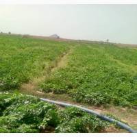 Arable Farmland for Sale in Bukuru, Jos South