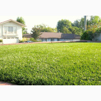 Brand New 45mm Synthetic Artificial Grass