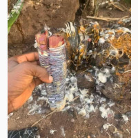 The best one and only herbalist and native doctor in Nigeria