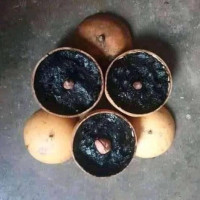 The best one and only herbalist and native doctor in Nigeria