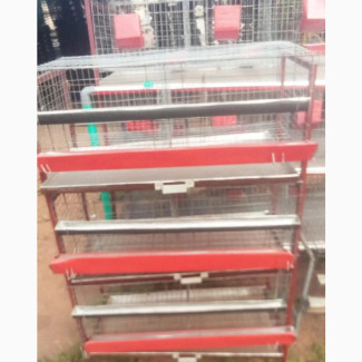 Chicken Cage