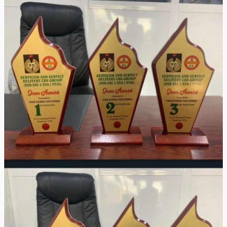 Wooden Award Plaque O90