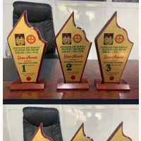 Wooden Award Plaque O90