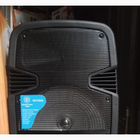 3000watts 15inches Standard Japan PA System