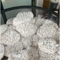 White Stones for Flower Pots and More