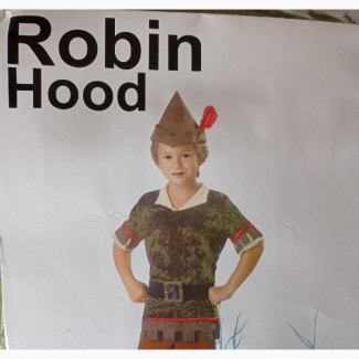 Robin Hood Children Book Costume